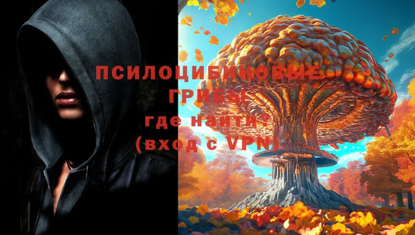 соль ск Алексеевка
