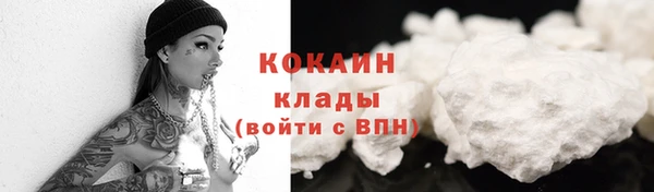 соль ск Алексеевка