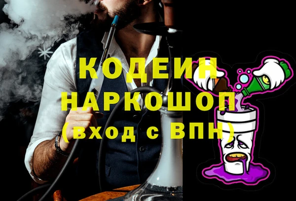 молекула духа Лабытнанги