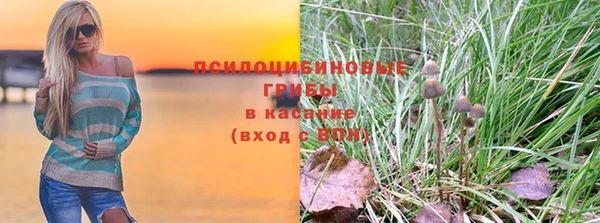МДПВ Алзамай