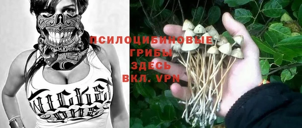 герыч Ладушкин