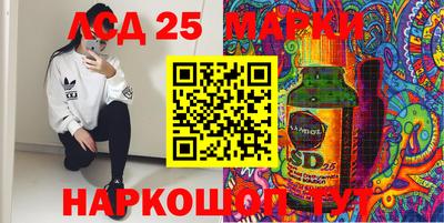 шишки Кимры