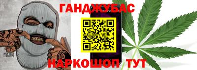 шишки Кимры