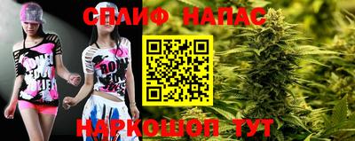 шишки Кимры