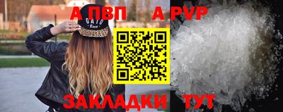 бошки Кингисепп