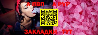 бошки Кингисепп