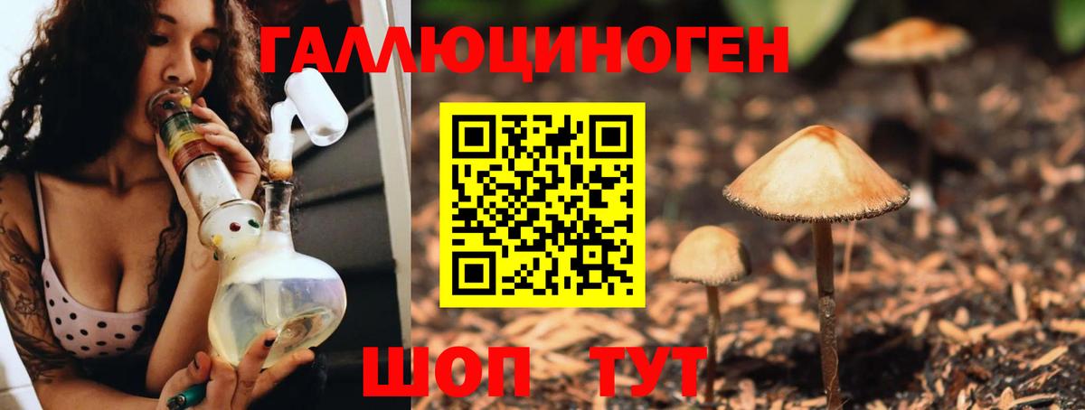 Псилоцибиновые грибы Psilocybe Кызыл