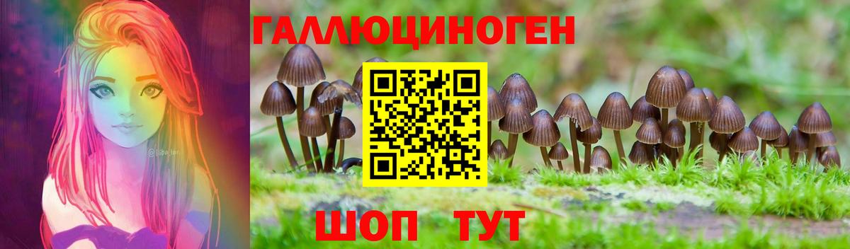 Галлюциногенные грибы Magic Shrooms  Галлюциногенные грибы Cubensis  Кызыл  Вход с VPN 