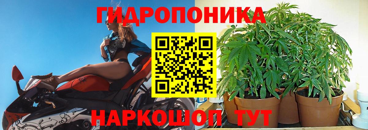 Марихуана MAZAR  Бошки Шишки MAZAR  Кызыл  Вход с VPN  Каннабис ГИДРОПОН 